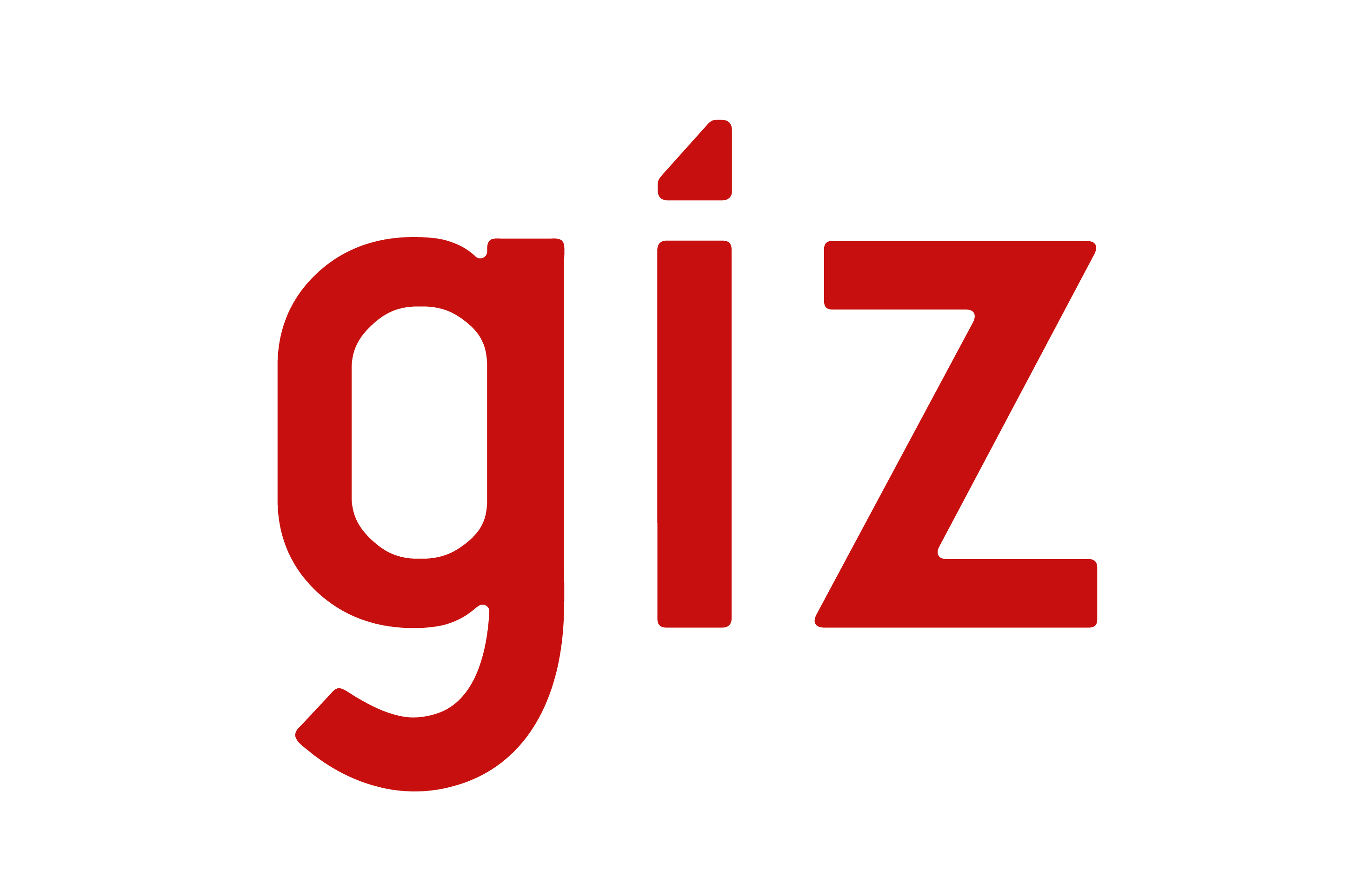GIZ Logo